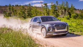 Hyundai Palisade driving down dirt road