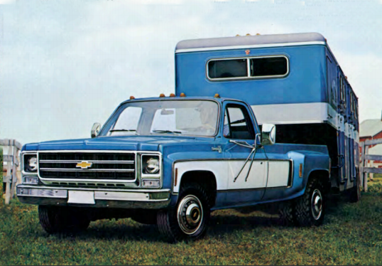 1973 Chevy Single Cab Dually-GM