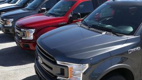 A lineup of Ford F-150 trucks.