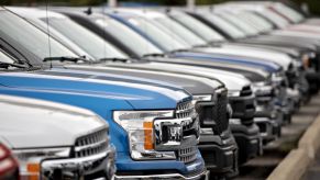 Ford F-150 trucks on display at a car dealership.