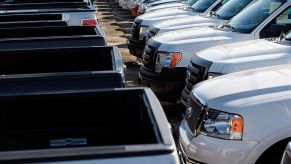 A row of Ford pickup trucks on sales lot.