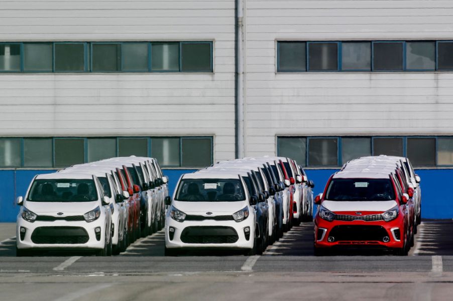 A shipment of Kia cars waiting to be loadd