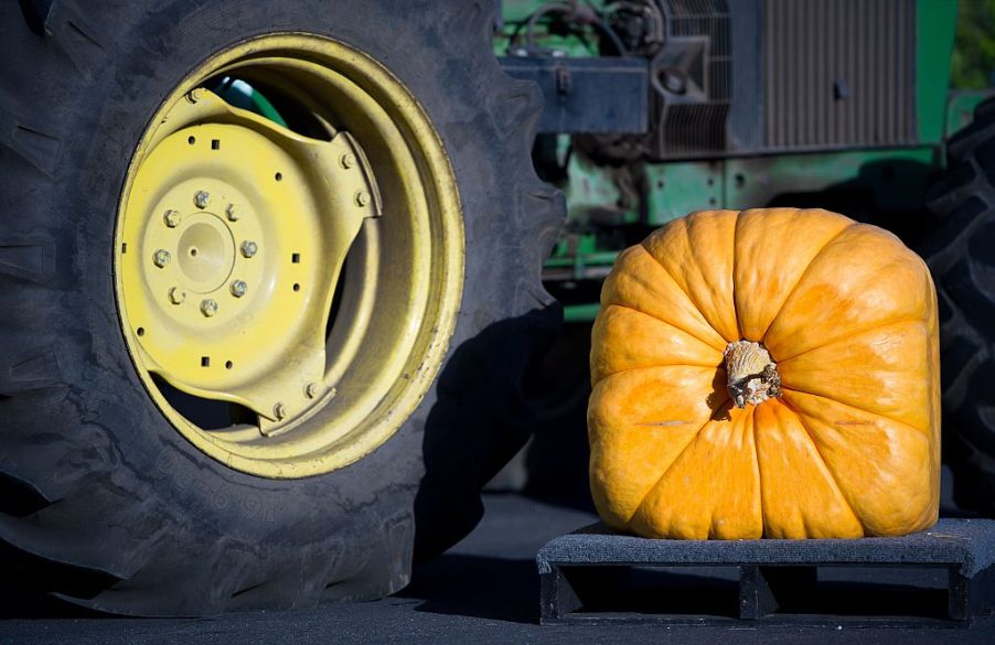 A square pumpkin next to a round wheel