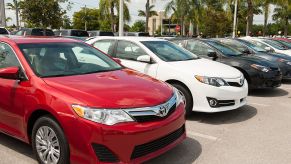 Toyota Corollas on display at a car dealership