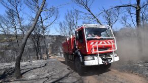 A fire truck drives through a burnt forest