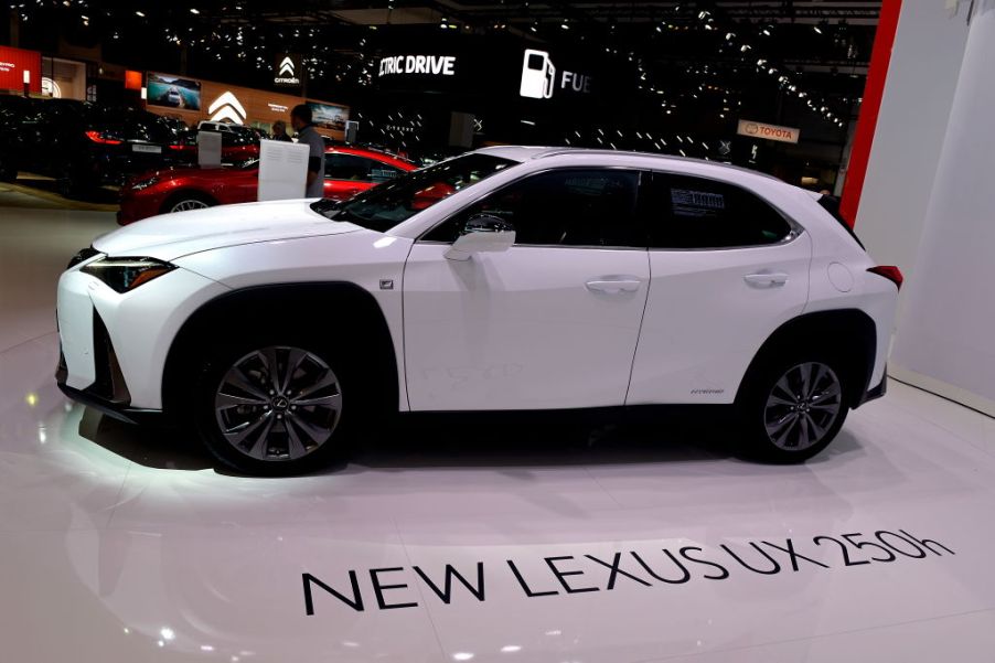 The new Lexus UX 250h is exposed at the 97th Brussels Motor