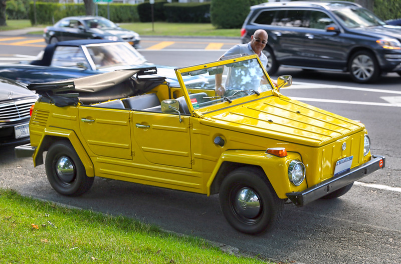 VW Thing