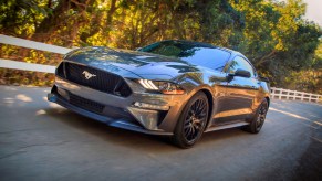 A grey Ford Mustang speeding down a tree-lined road