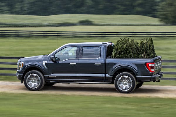 2021 Ford F150 hauling bushes