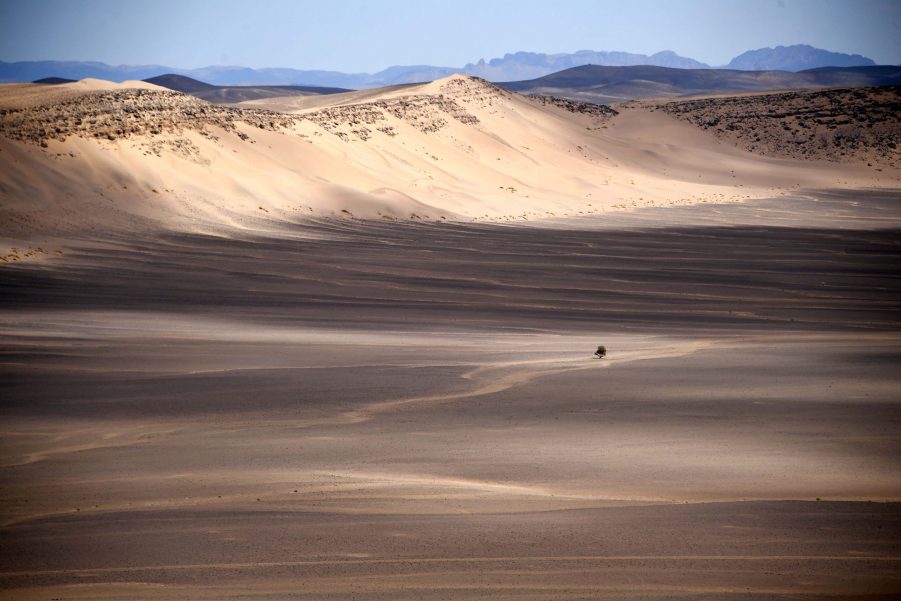 Moroccan Desert