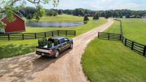 2021 Ford F-150 on a farm with plants loaded in the truck bed