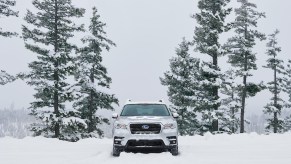 2020 Subaru Ascent Limited in a snowy forest