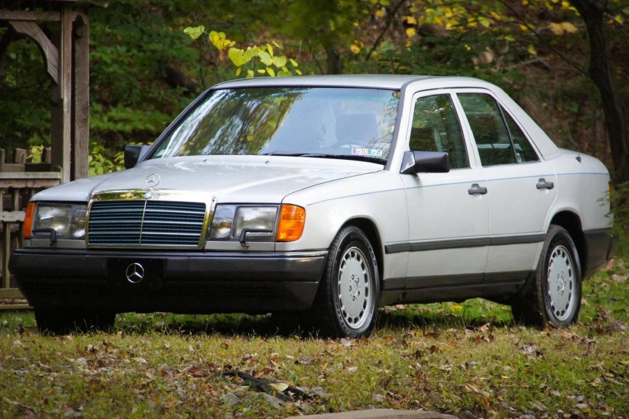 A silver 1986 W124 Mercedes-Benz 300E in the forest