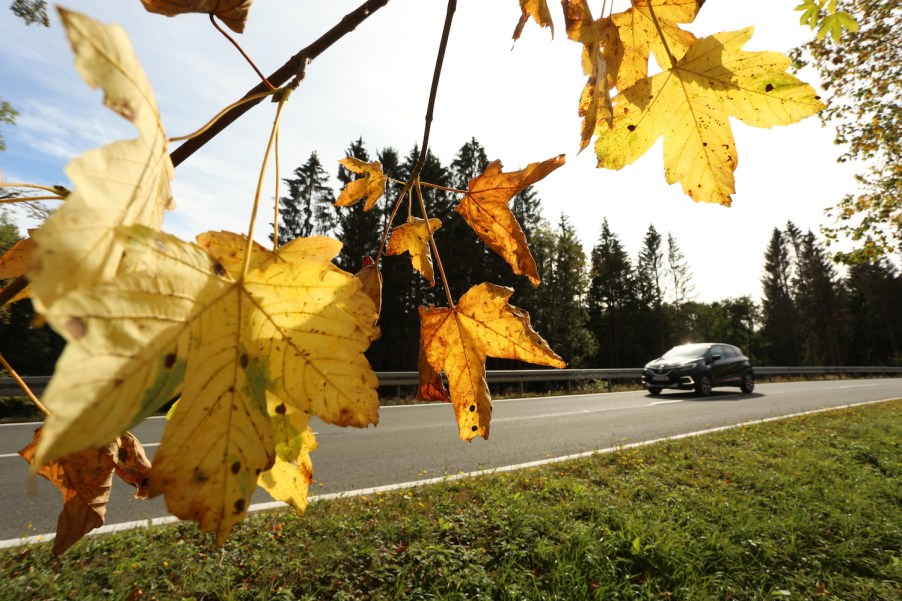 A car driving during the fall