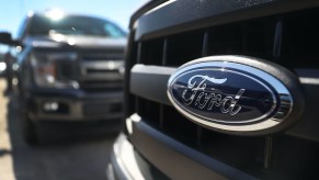 A lineup of Ford trucks