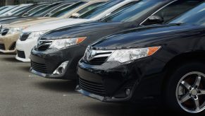 Toyota Camrys on display at a car dealership lot