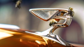 Bentley bonnet ornament