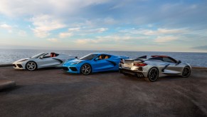 White, blue, and silver Chevy Corvettes on display