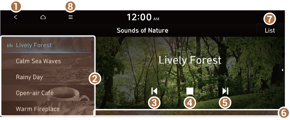 an image from the Hyundai Sonata manual showing how to use Nature Sounds 