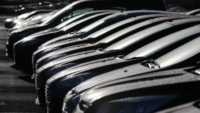 Vehicles lined up on a car lot