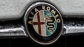 A close-up view of an Alfa Romeo badge on the front of a car