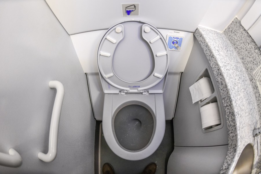 RV toilets work much like this white and gray airplane toilet pictured