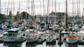 Boats docked in a marina