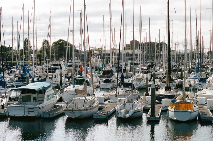 Boats docked in a marina