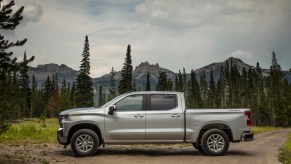 The Chevy Silverado parked in the wilderness