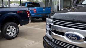 Ford F-150 trucks sit as display cars at a dealership