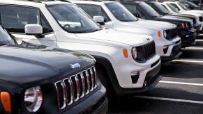 Jeep Renegade SUVs displayed on a dealership sales lot