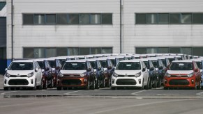 Kia cars sit in a row on awaiting export