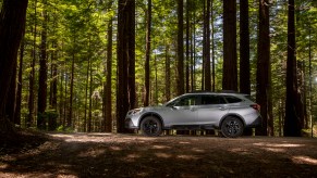 A side view of a silver 2020 Subaru Outback midsize SUV parked in a sun-dappled forest