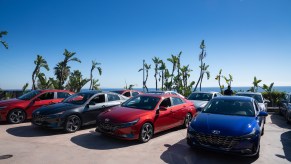 2021 Hyundai Elantra sedans lined up in front of palm trees, a blue sky, and a large body of water