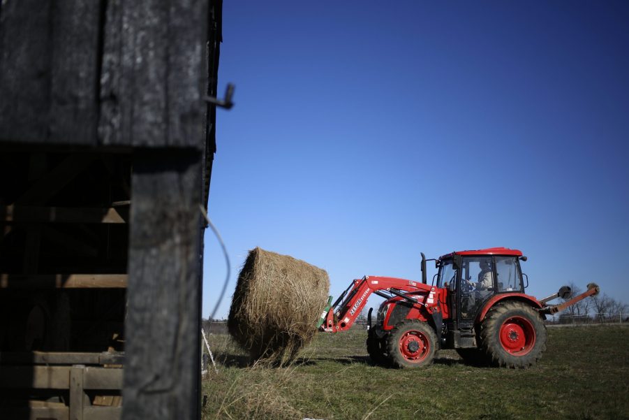 a Kubota Tractor lifts a round bale in a cow field