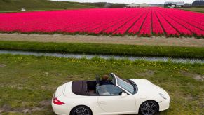 A white Porsche 911 sits in front of the blooming summer tulips