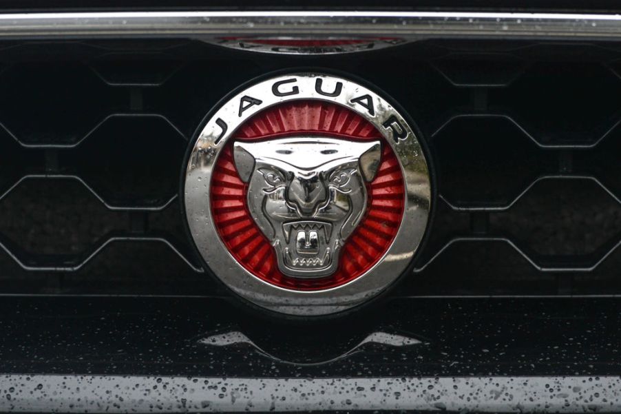 The red and silver badge of Jaguar, featuring the snarling big cat