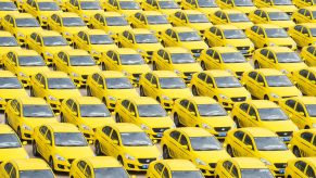 A fleet of yellow cars on a lot