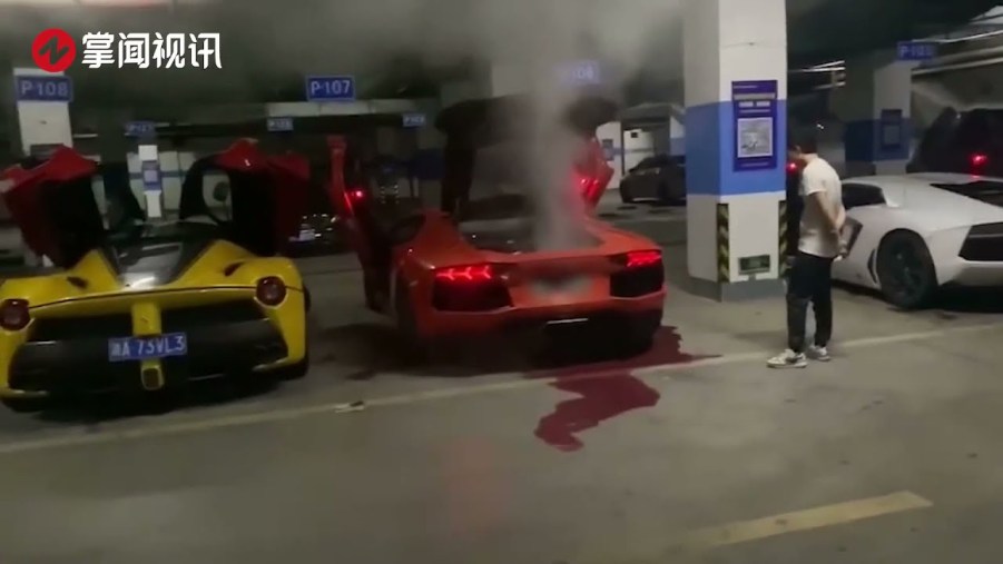 The Lamborghini owner watches as his car goes up in smoke