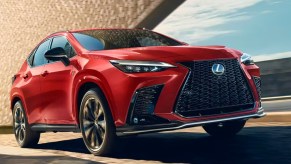 A red Lexus NX small luxury SUV.