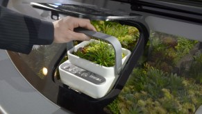 A small garden behind the dashboard of a Harman and Rinspeed car, the Oasis, in January 2017