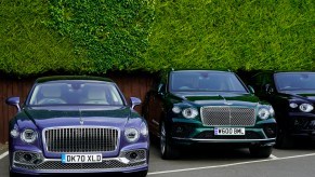 Bentley luxury cars lined up along a tall green hedge