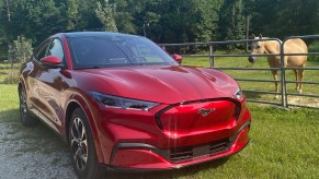 A red 2021 Ford Mustang Mach-E First Edition near a horse