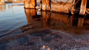 Salton Sea with dead fish