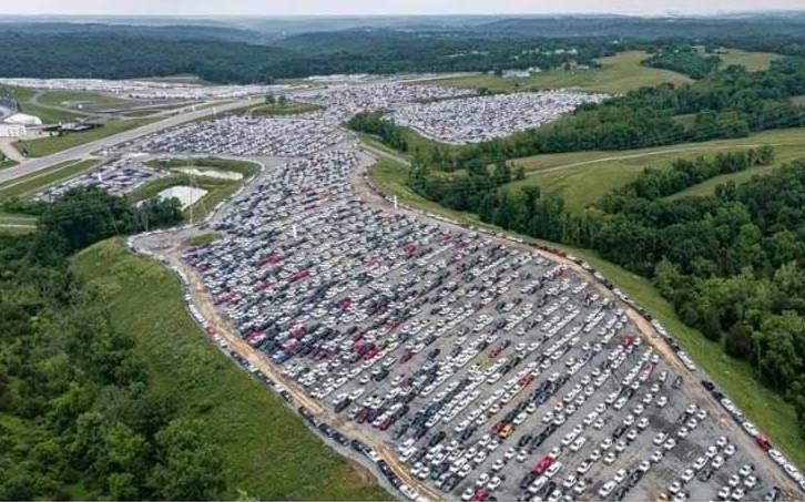 Sea of Ford F-150 pickups