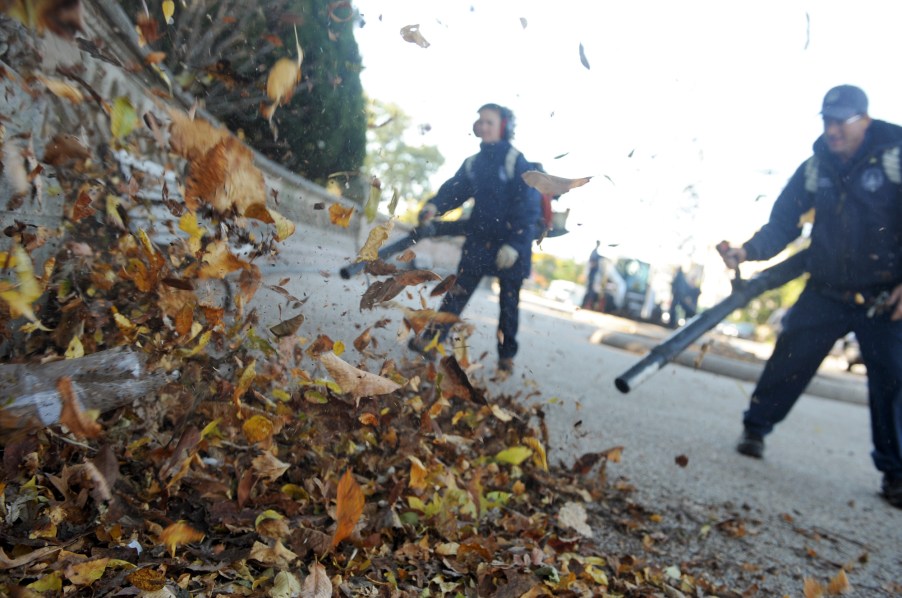 Two men use leaf blowers on a pile of leaves