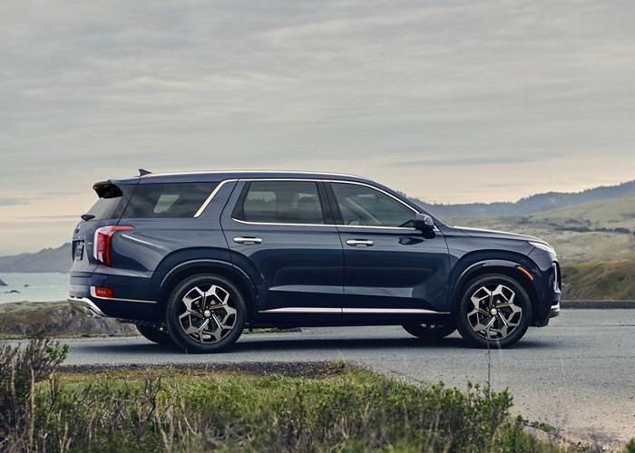 A dark blue 2021 Hyundai Palisade parked along the coast.