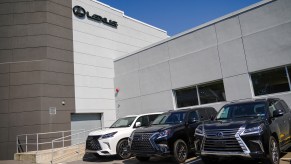 A row of Lexus SUVs. Not pictured, the 2022 Lexus LX