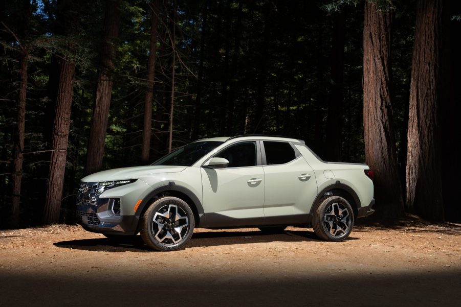 The Santa Cruz photographed in profile among the redwoods