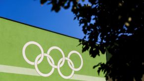 White Olympic rings painted on a green building with a blurred tree in the foreground to the left.